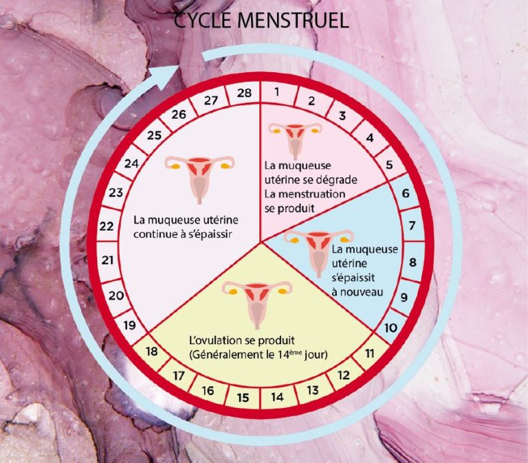Comment Accompagner Naturellement Le Cycle FÉminin Bio Infos Santé